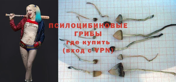 apvp Абаза