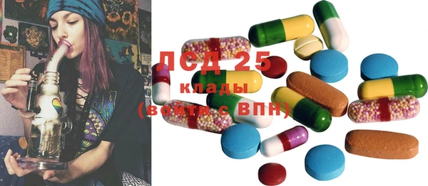 ECSTASY Алзамай